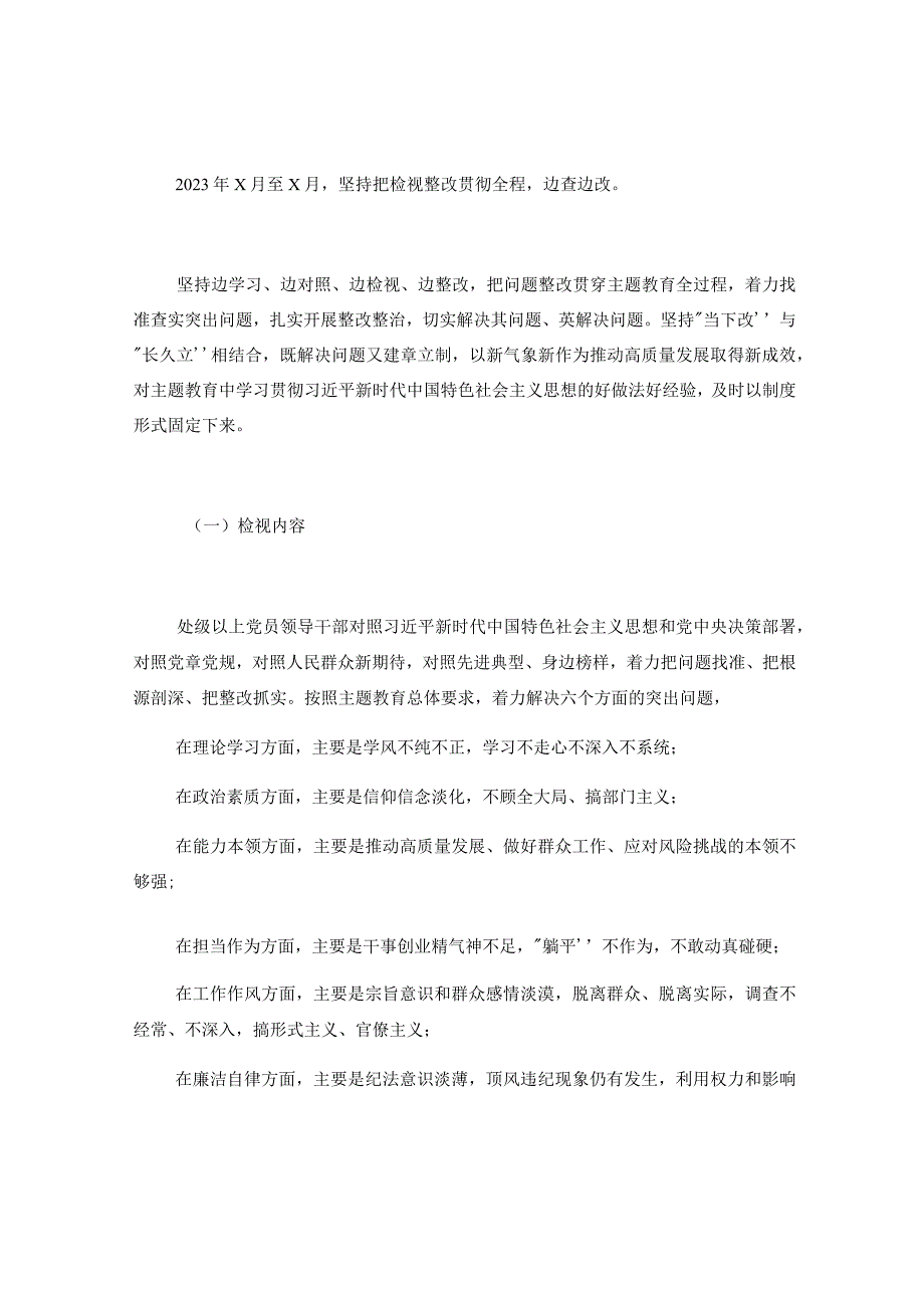 学习贯彻2023年主题教育检视问题实施方案.docx_第2页