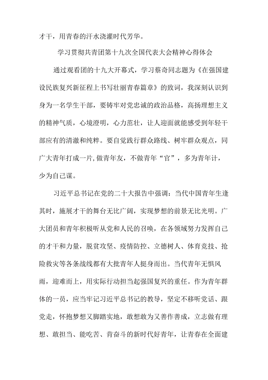 大学辅导员学习贯彻共青团第十九次全国代表大会精神个人心得体会.docx_第3页