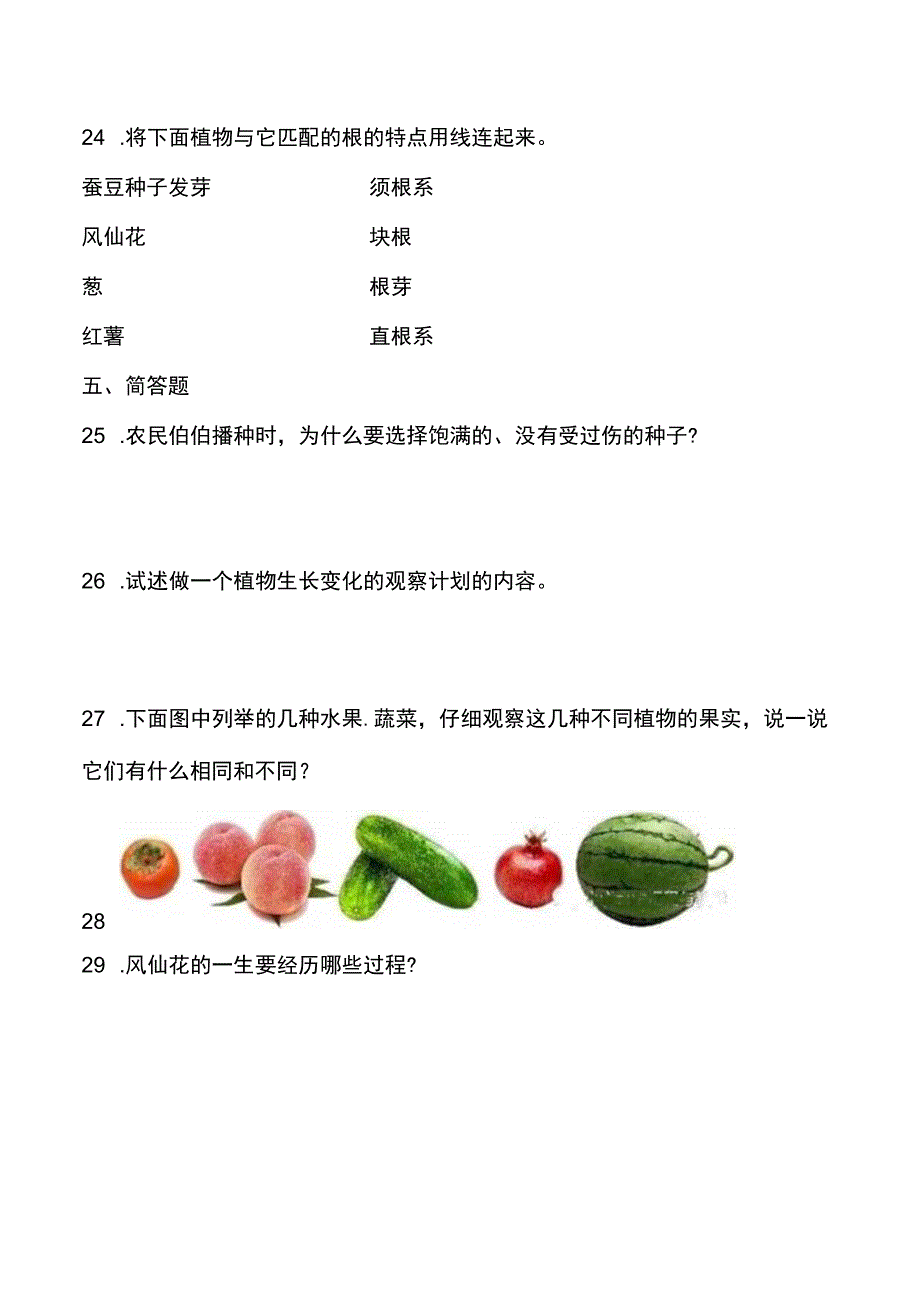 教科版四年级下册科学第一单元植物的生长变化测试题.docx_第3页