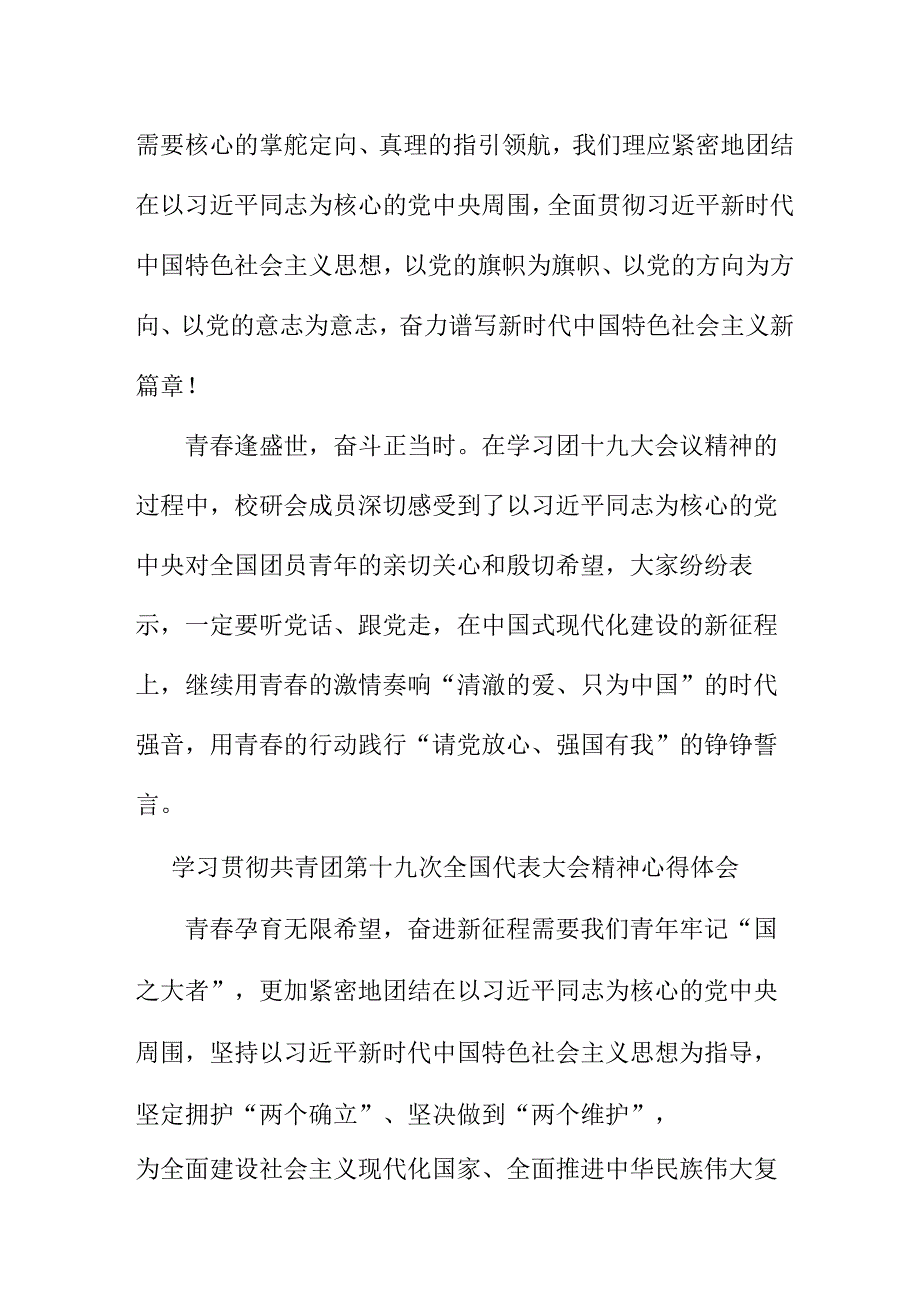 市区医院学习贯彻共青团第十九次全国代表大会精神个人心得体会 5份.docx_第3页