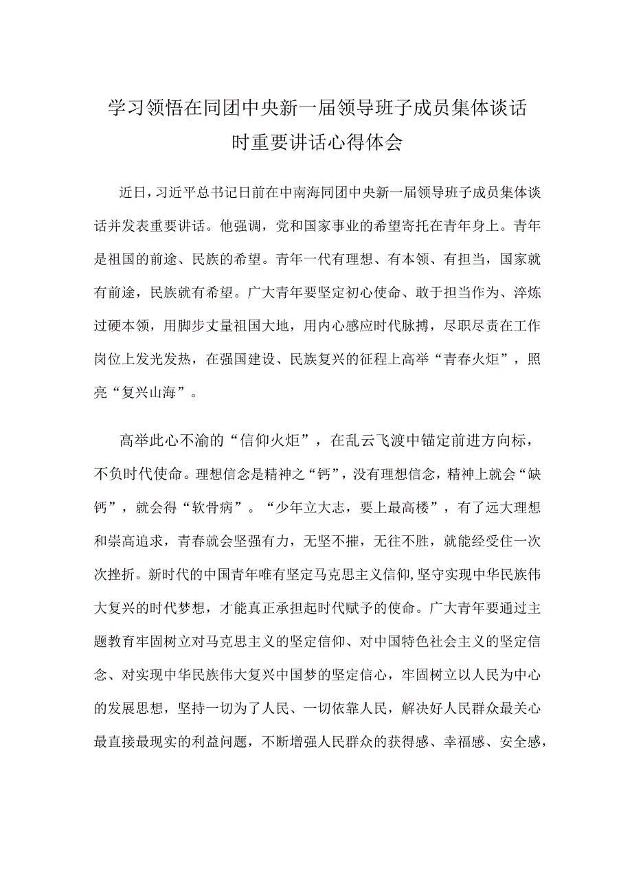 学习领悟在同团中央新一届领导班子成员集体谈话时重要讲话心得体会.docx_第1页