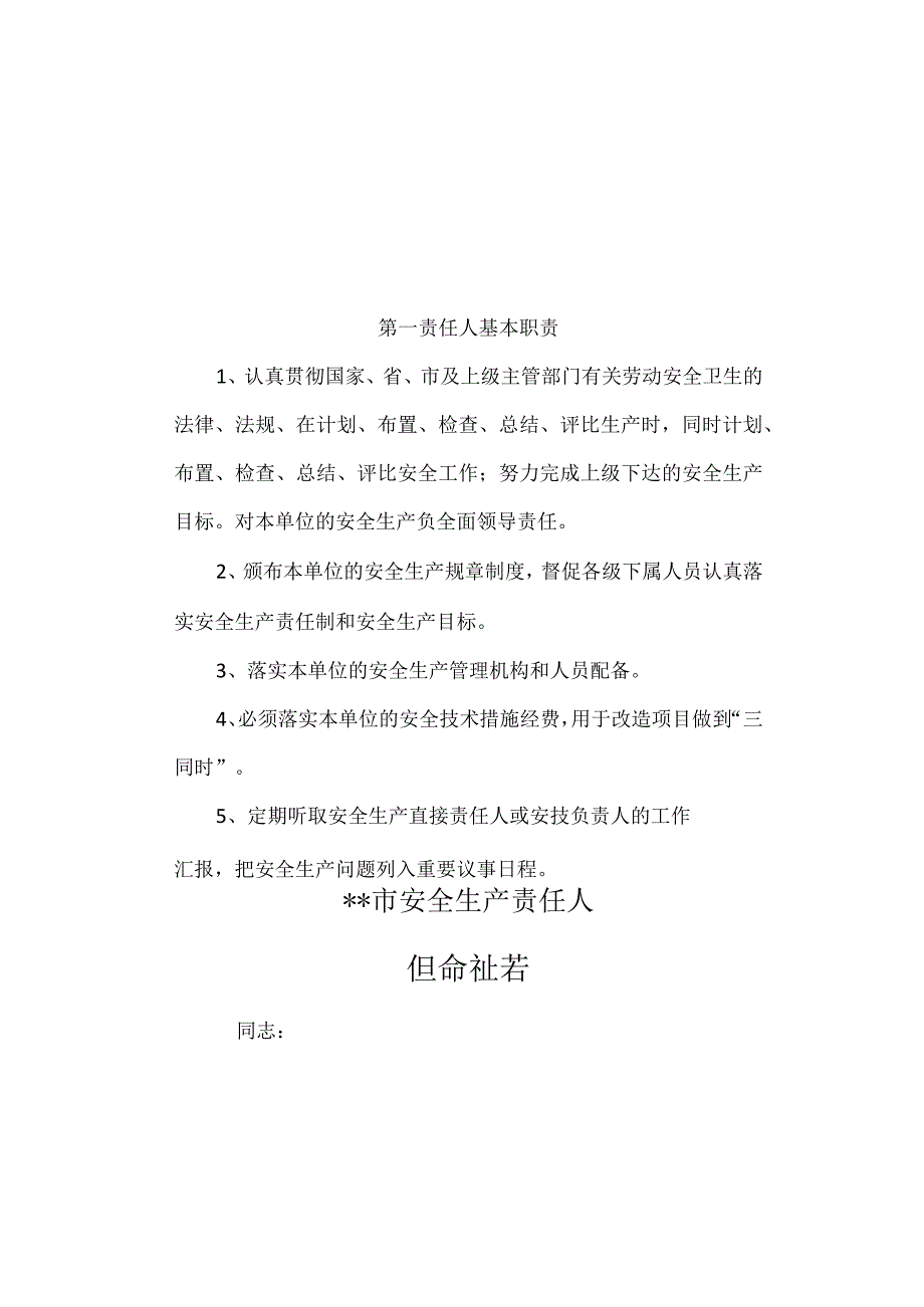 安全责任人任命书.docx_第1页