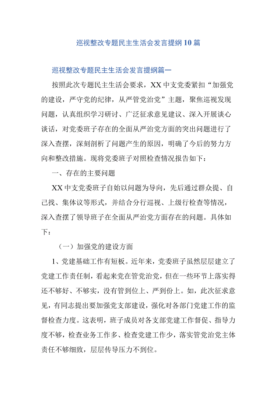 巡视整改专题民主生活会发言提纲10篇.docx_第1页