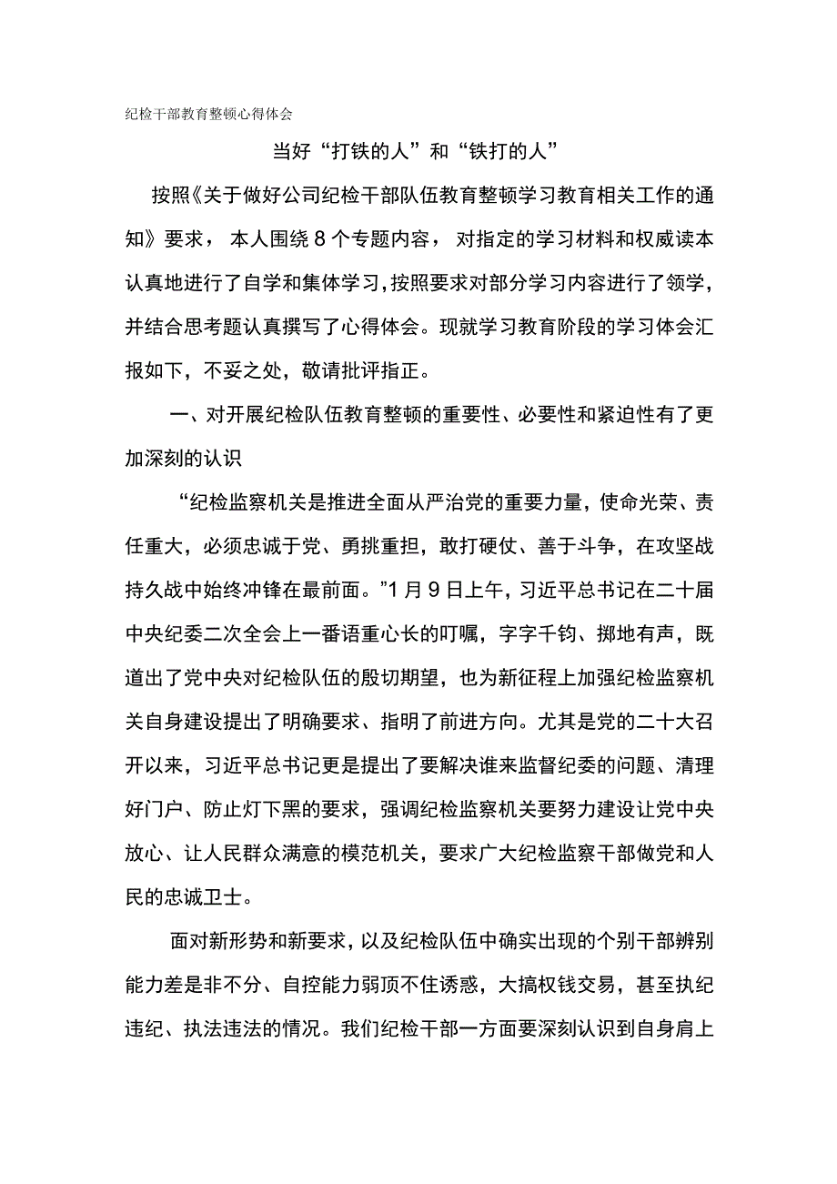 纪检干部教育整顿心得体会当好打铁的人和铁打的人.docx_第1页