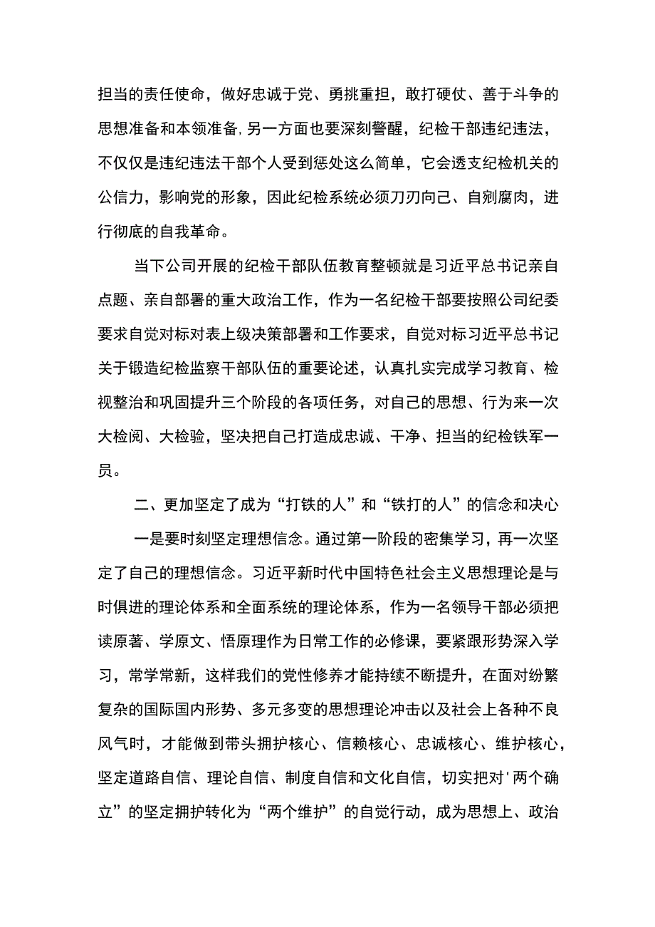 纪检干部教育整顿心得体会当好打铁的人和铁打的人.docx_第2页