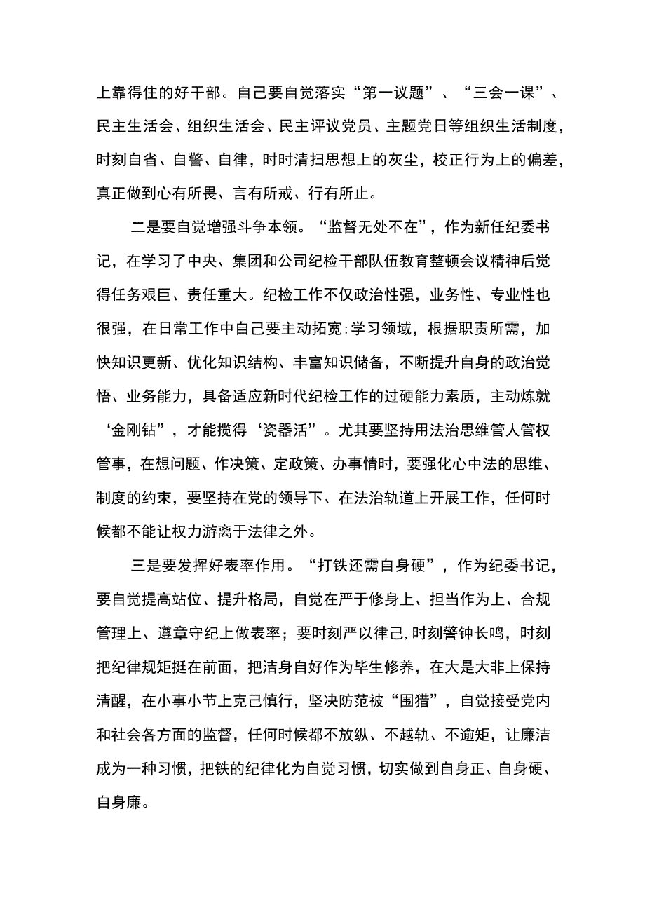 纪检干部教育整顿心得体会当好打铁的人和铁打的人.docx_第3页