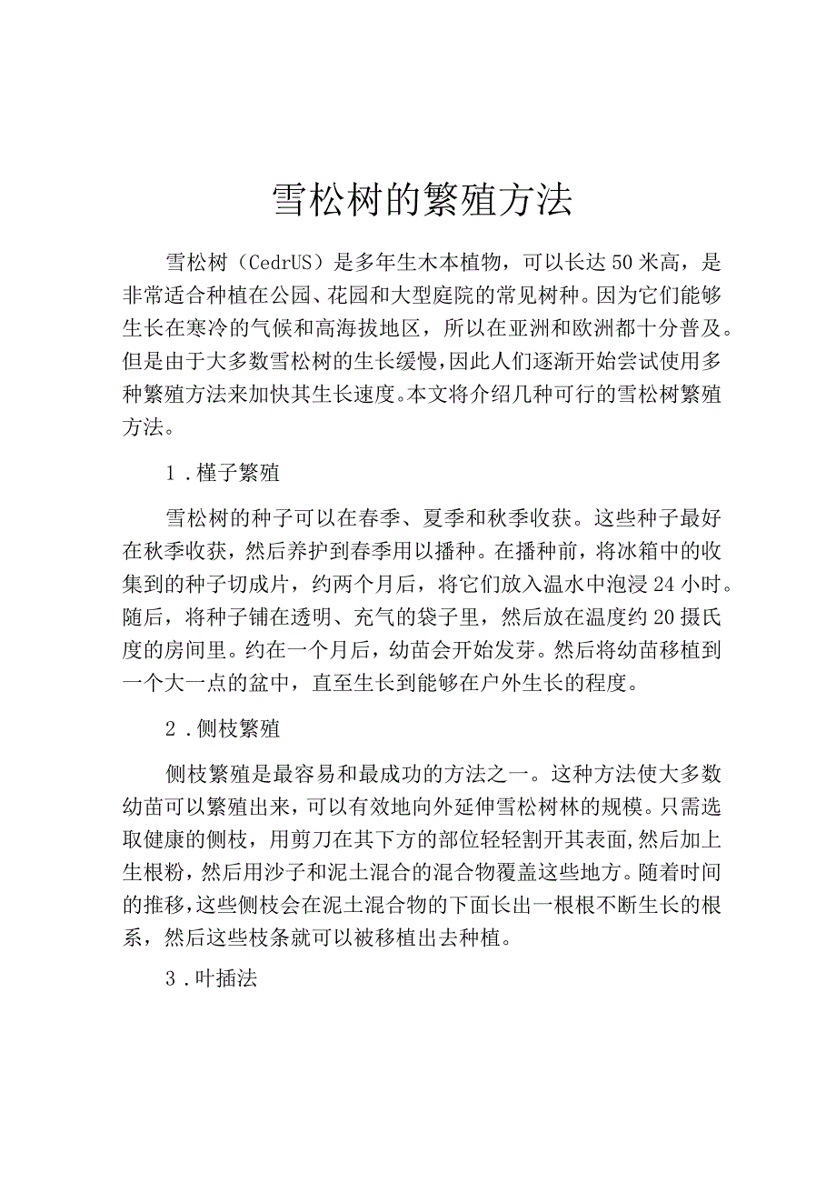 雪松树的繁殖方法.docx_第1页