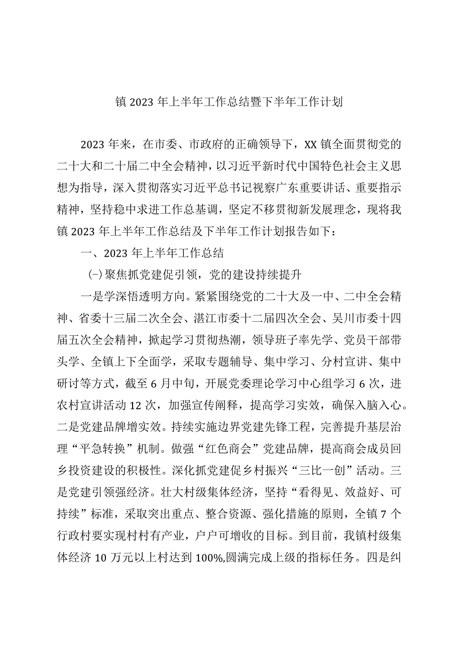 精品文档镇2023年上半年工作总结暨下半年工作计划.docx_第1页