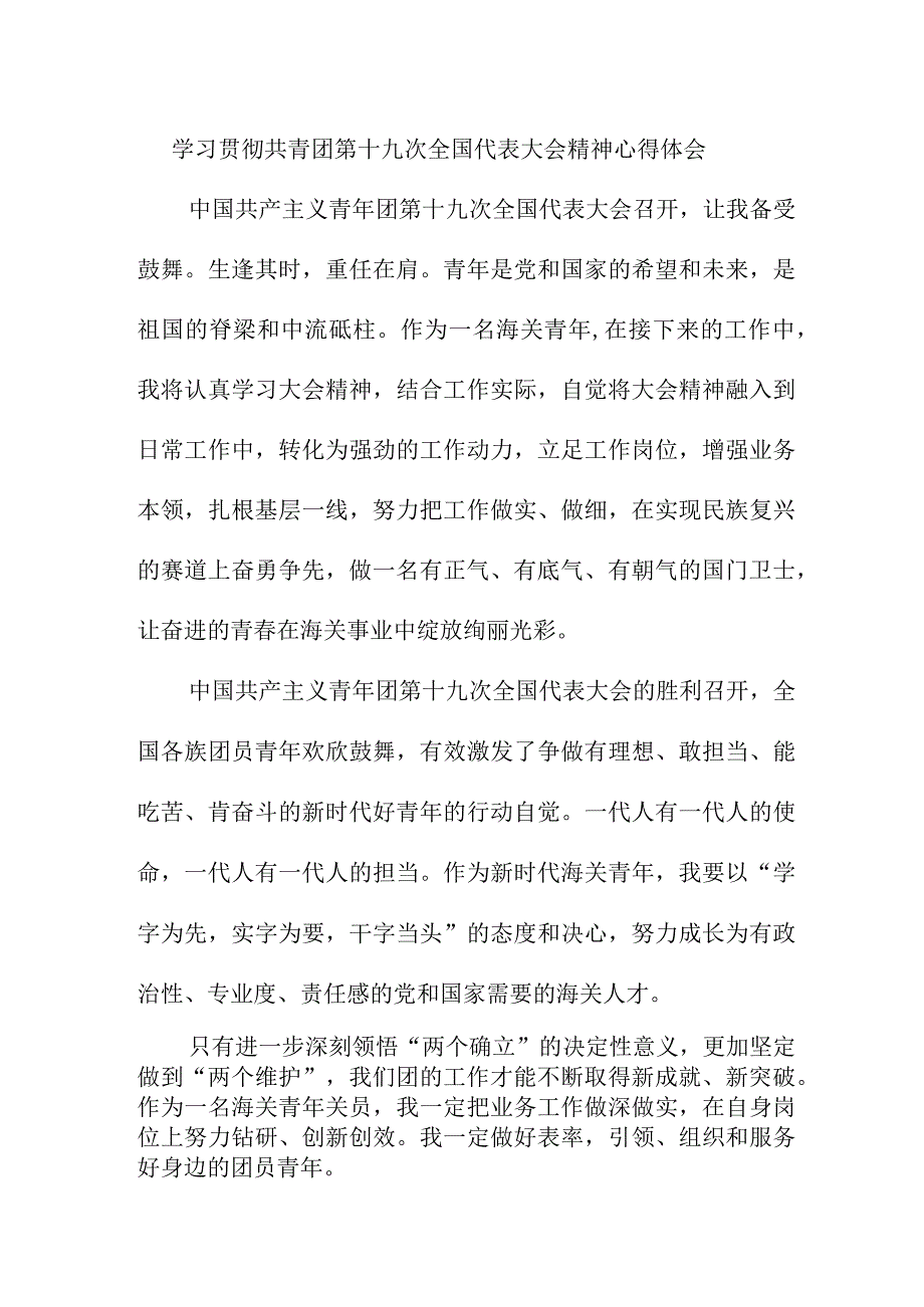 纪检干部学习贯彻共青团第十九次全国代表大会精神个人心得体会 7份.docx_第1页