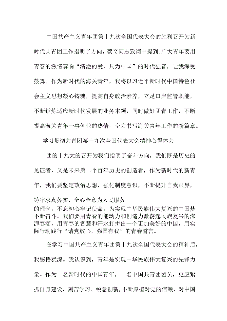 纪检干部学习贯彻共青团第十九次全国代表大会精神个人心得体会 7份.docx_第2页