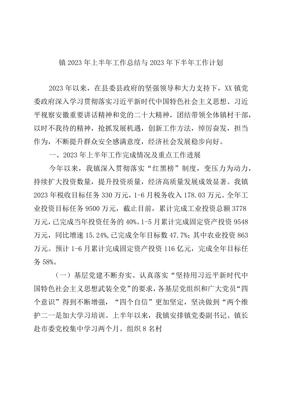 精品文档镇2023年上半年工作总结与2023年下半年工作计划.docx_第1页