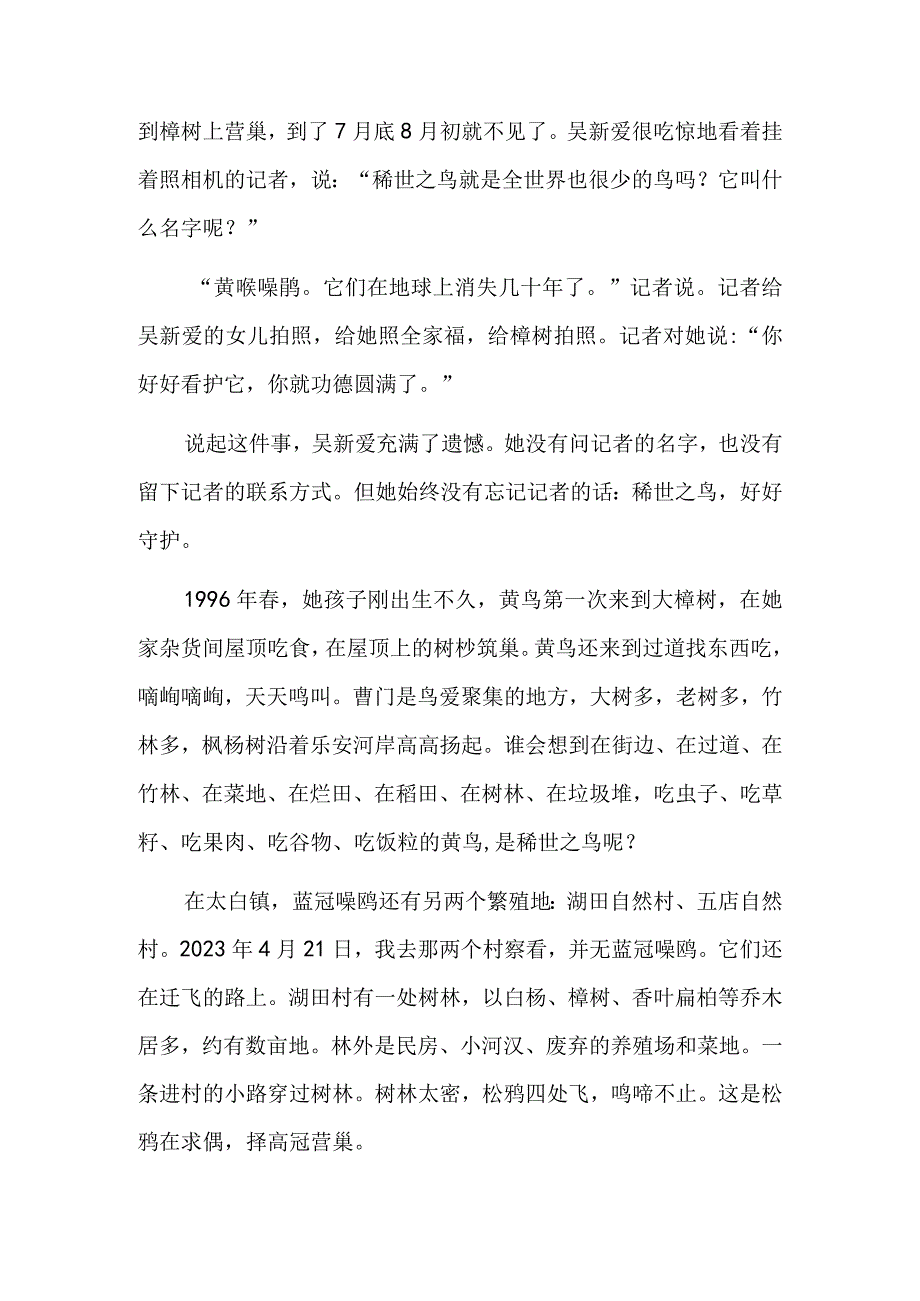 蓝冠噪鹛.docx_第3页