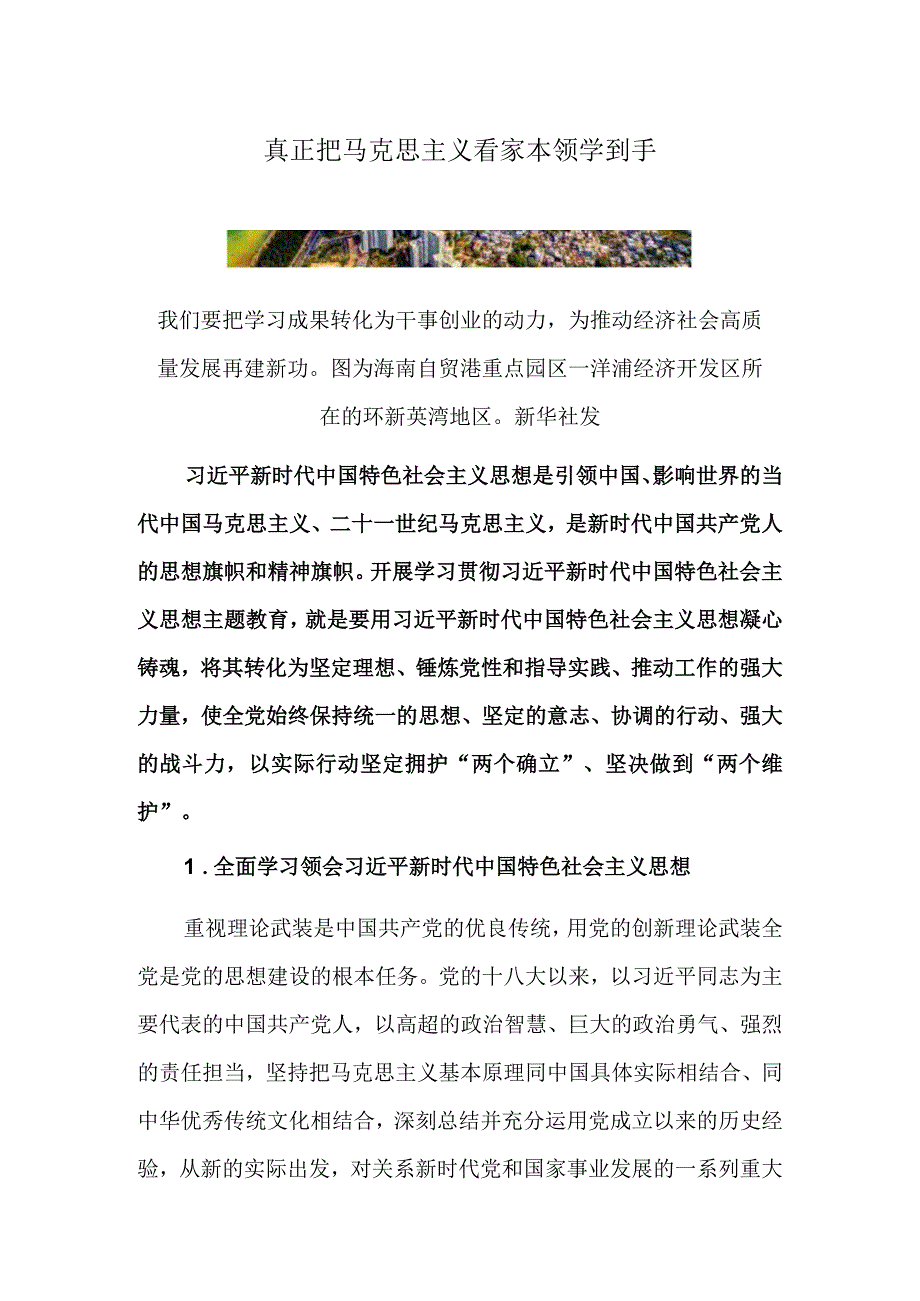 真正把马克思主义看家本领学到手.docx_第1页