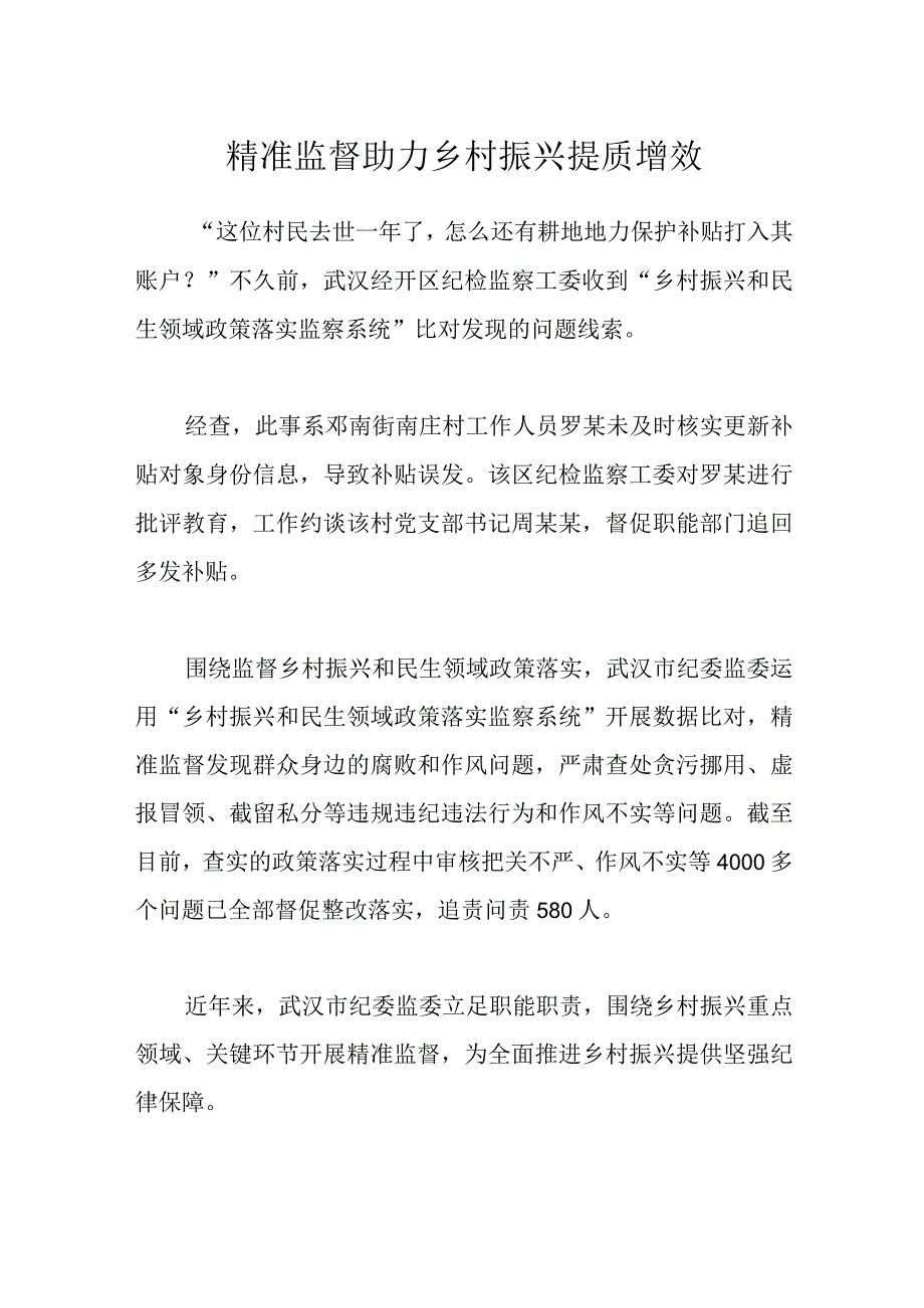 精准监督助力乡村振兴提质增效.docx_第1页