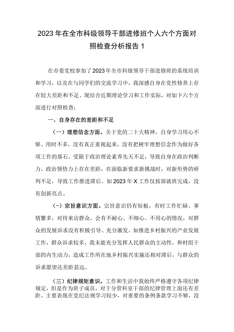 2023乡科级领导干部进修班理想信念、宗旨意识、纪律规矩意识、作风建设问题、廉政勤政、责任担当六个方面个人对照检查分析报告2篇.docx_第2页