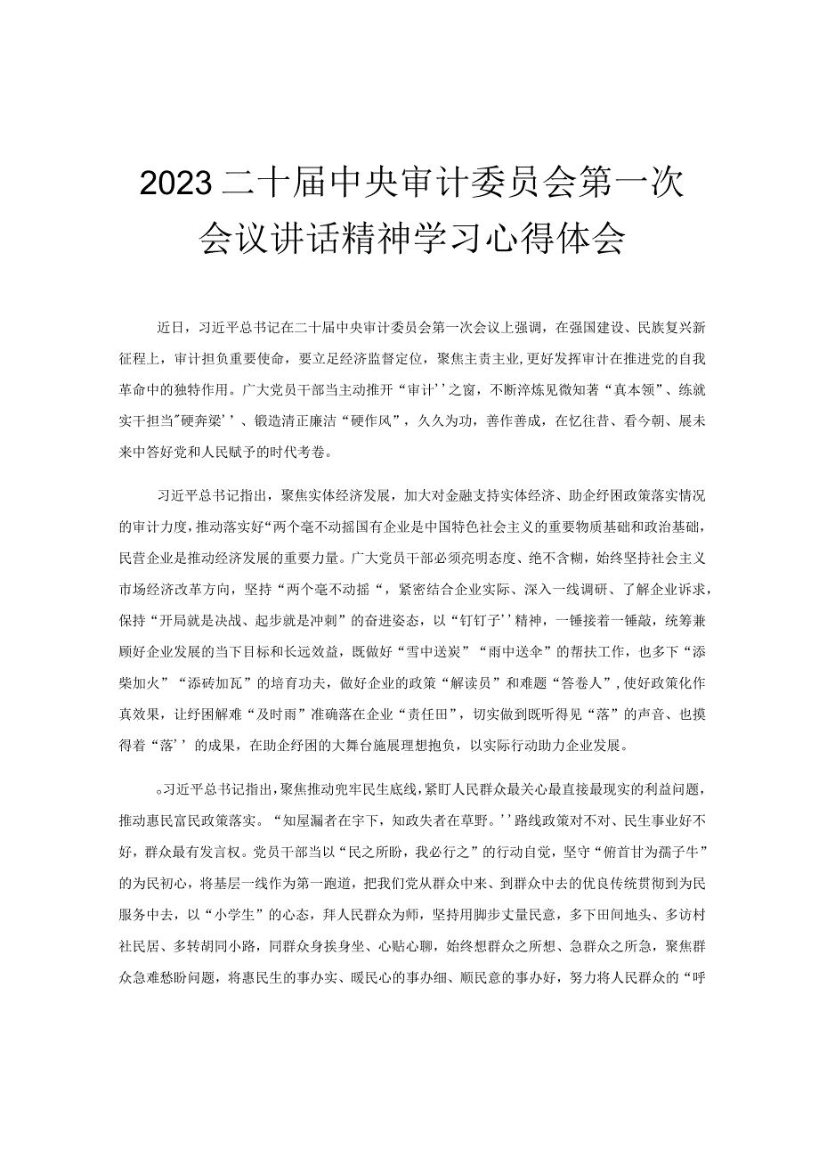 2023二十届中央审计委员会第一次会议讲话精神学习心得体会.docx_第1页