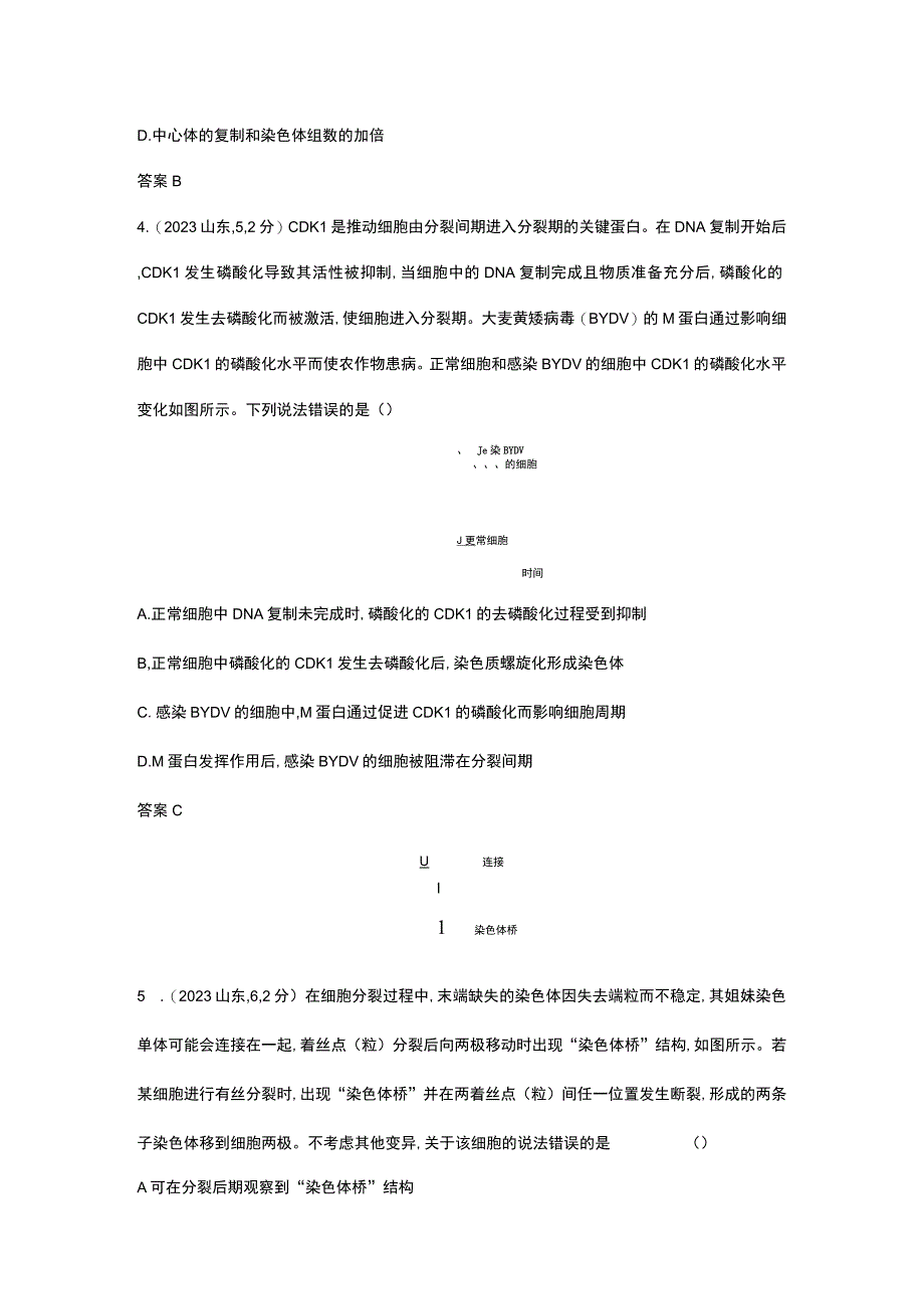 1_专题7 细胞的增殖（试题word）.docx_第2页