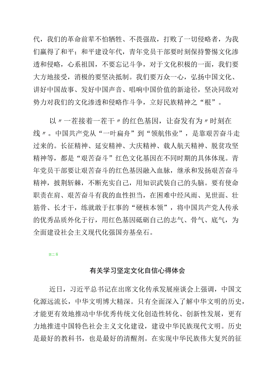 2023年度文化自信文化强国发言材料10篇.docx_第2页