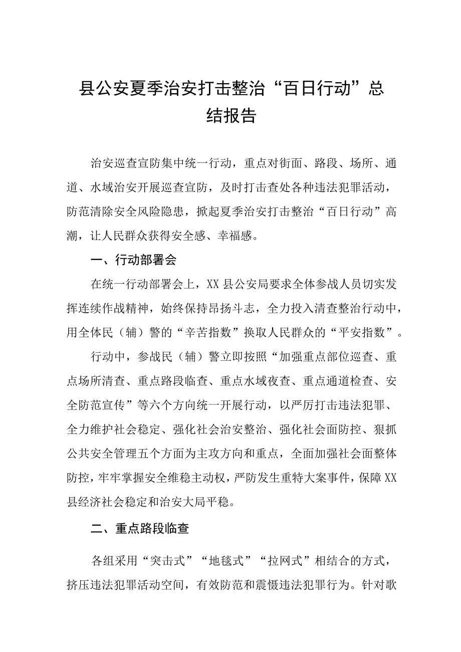 2023年夏季治安打击整治“百日行动”总结汇报七篇.docx_第1页