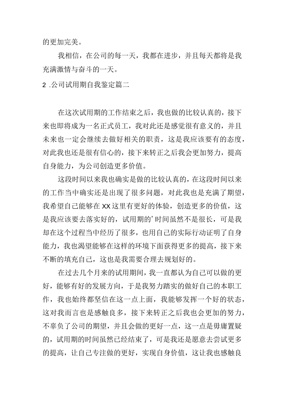 公司试用期自我鉴定.docx_第2页