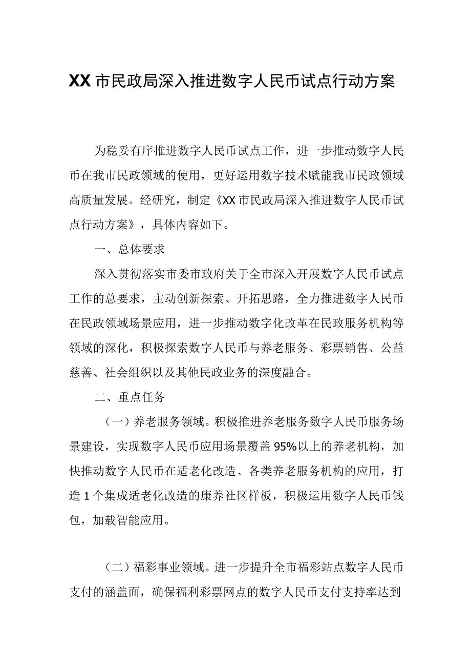 XX市民政局深入推进数字人民币试点行动方案.docx_第1页