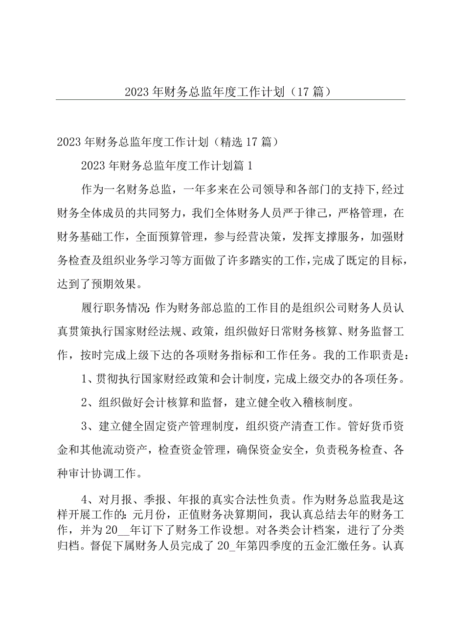 2023年财务总监年度工作计划（17篇）.docx_第1页