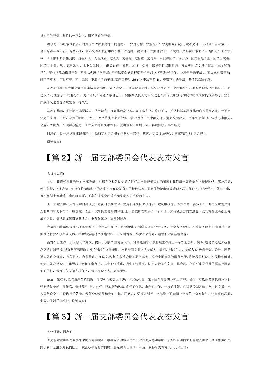 新一届支部委员会代表表态发言7篇.docx_第3页