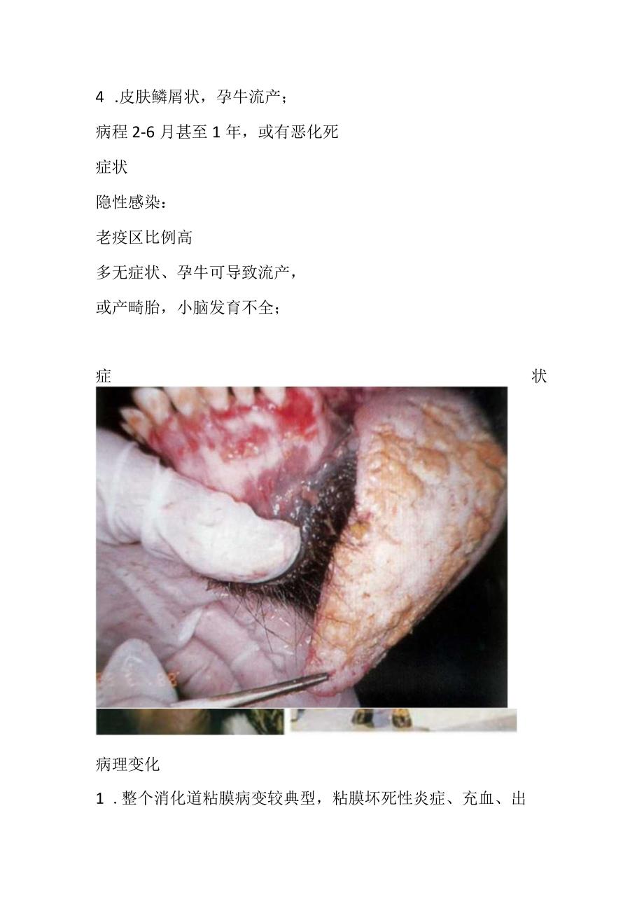 牛病毒性腹泻.docx_第3页