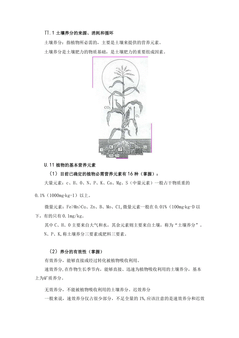 土壤学教案-第十一章.土壤养分.docx_第3页