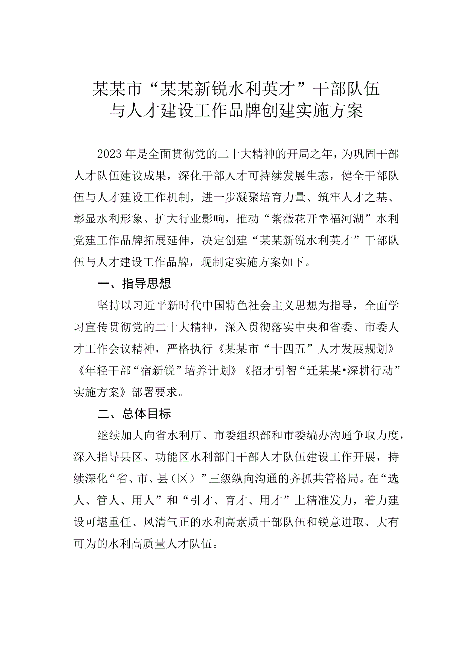 某某市“某某新锐水利英才”干部队伍与人才建设工作品牌创建实施方案.docx_第1页