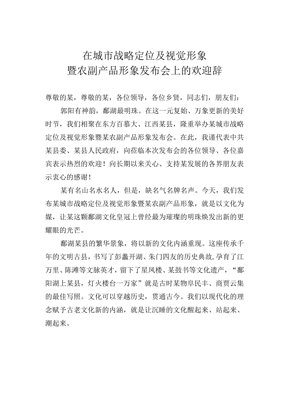 在城市战略定位及视觉形象暨农副产品形象发布会上的欢迎辞.docx_第1页