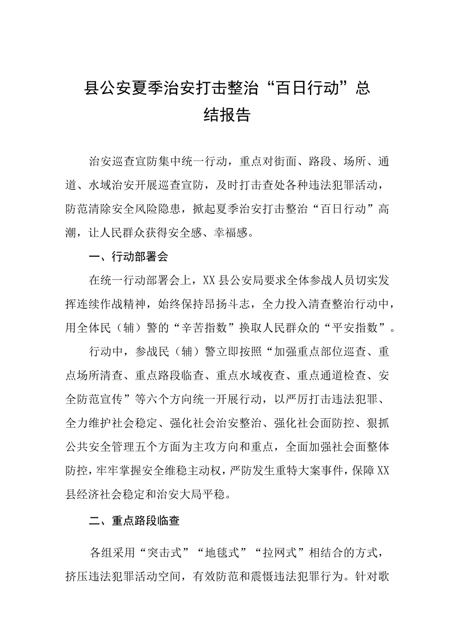 公安推进夏季治安打击整治“百日行动”总结7篇.docx_第1页