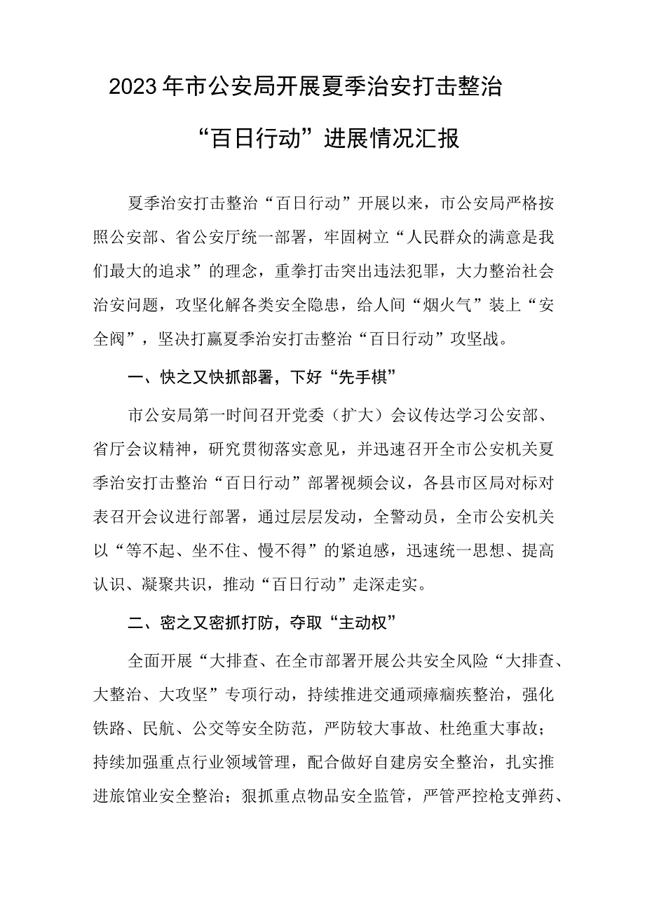 公安推进夏季治安打击整治“百日行动”总结7篇.docx_第3页