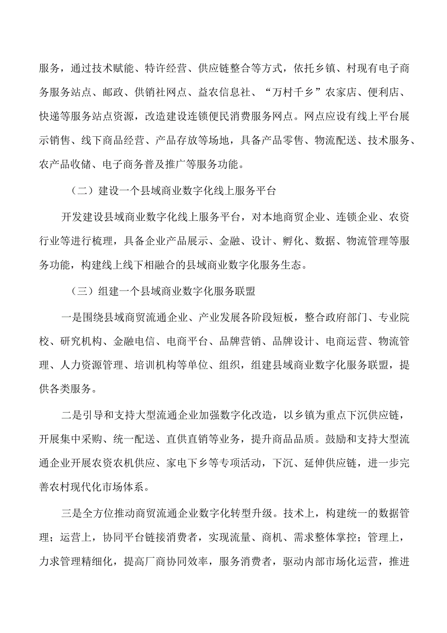 县域商业体系建设建议.docx_第2页