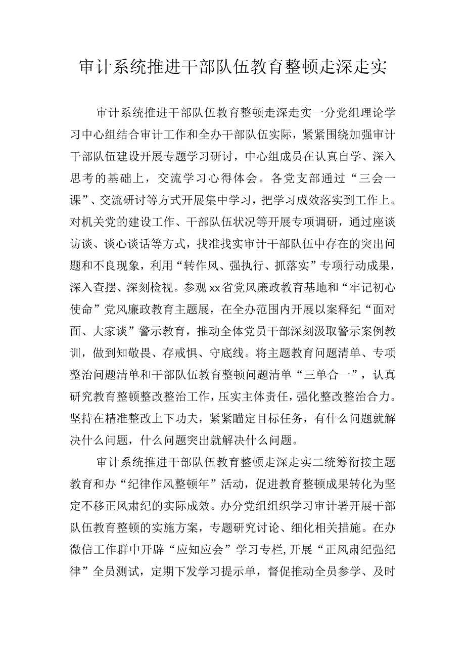 审计系统推进干部队伍教育整顿走深走实.docx_第1页