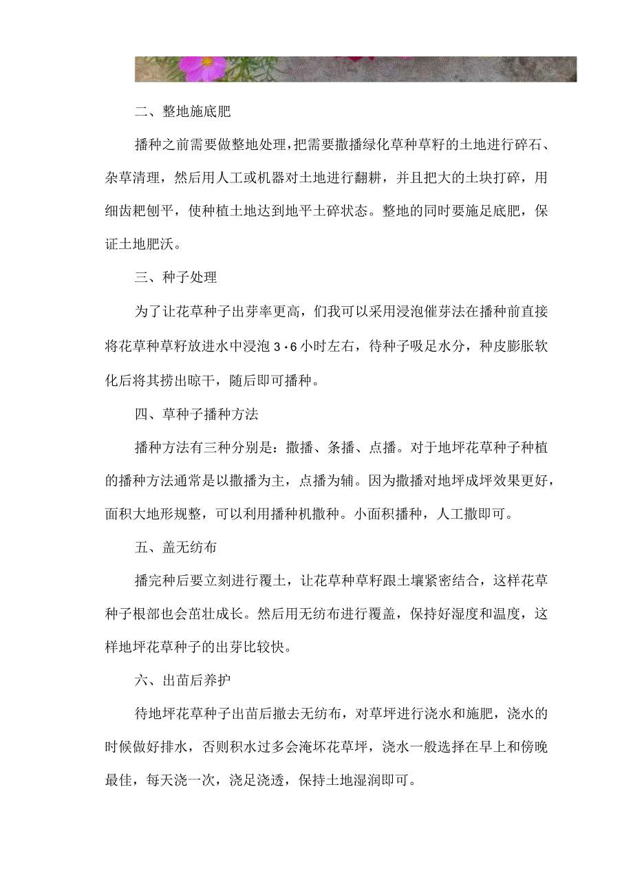 地坪草种子播种施工指引.docx_第2页