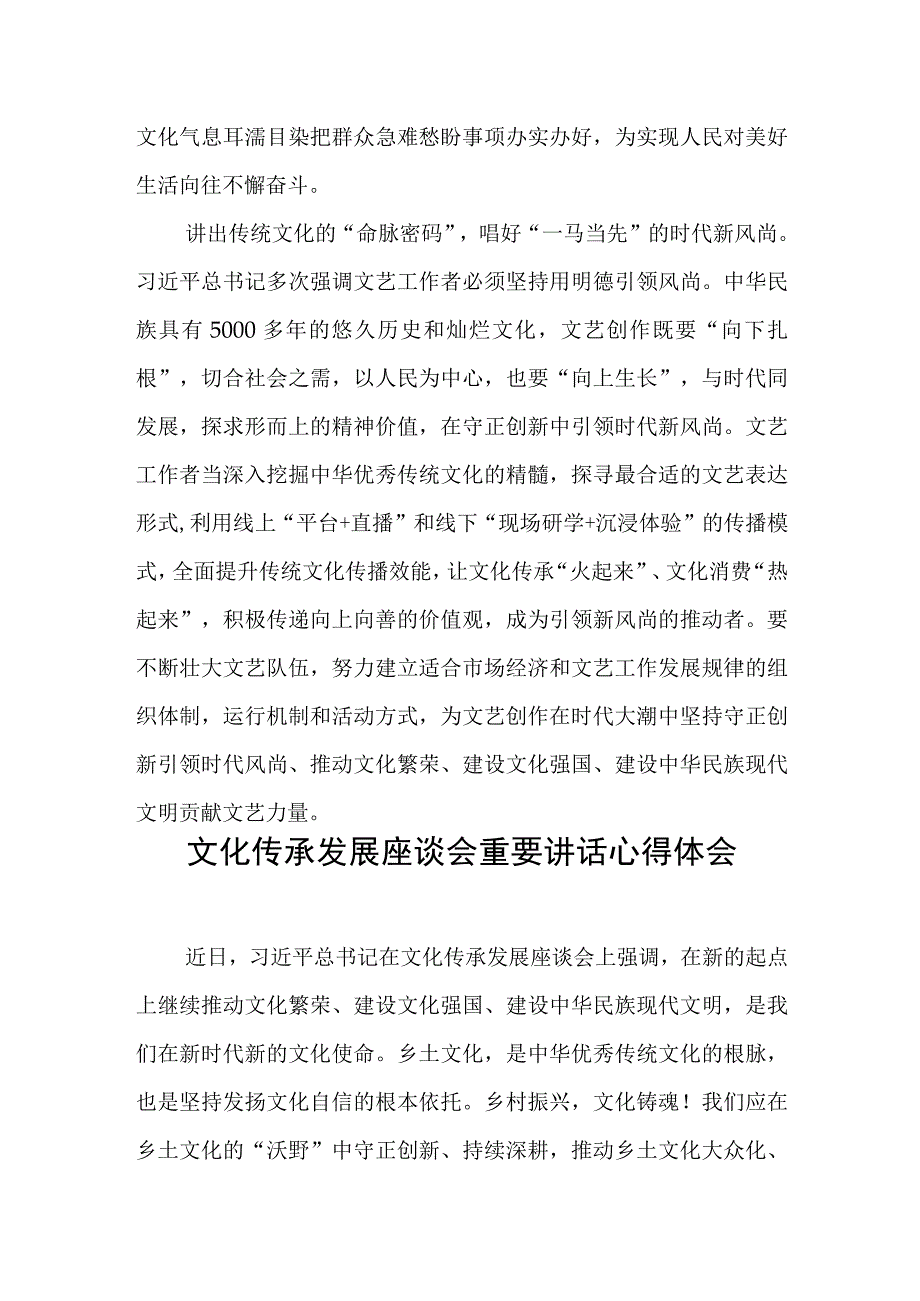 文化传承发展座谈会重要讲话心得体会(六篇).docx_第3页