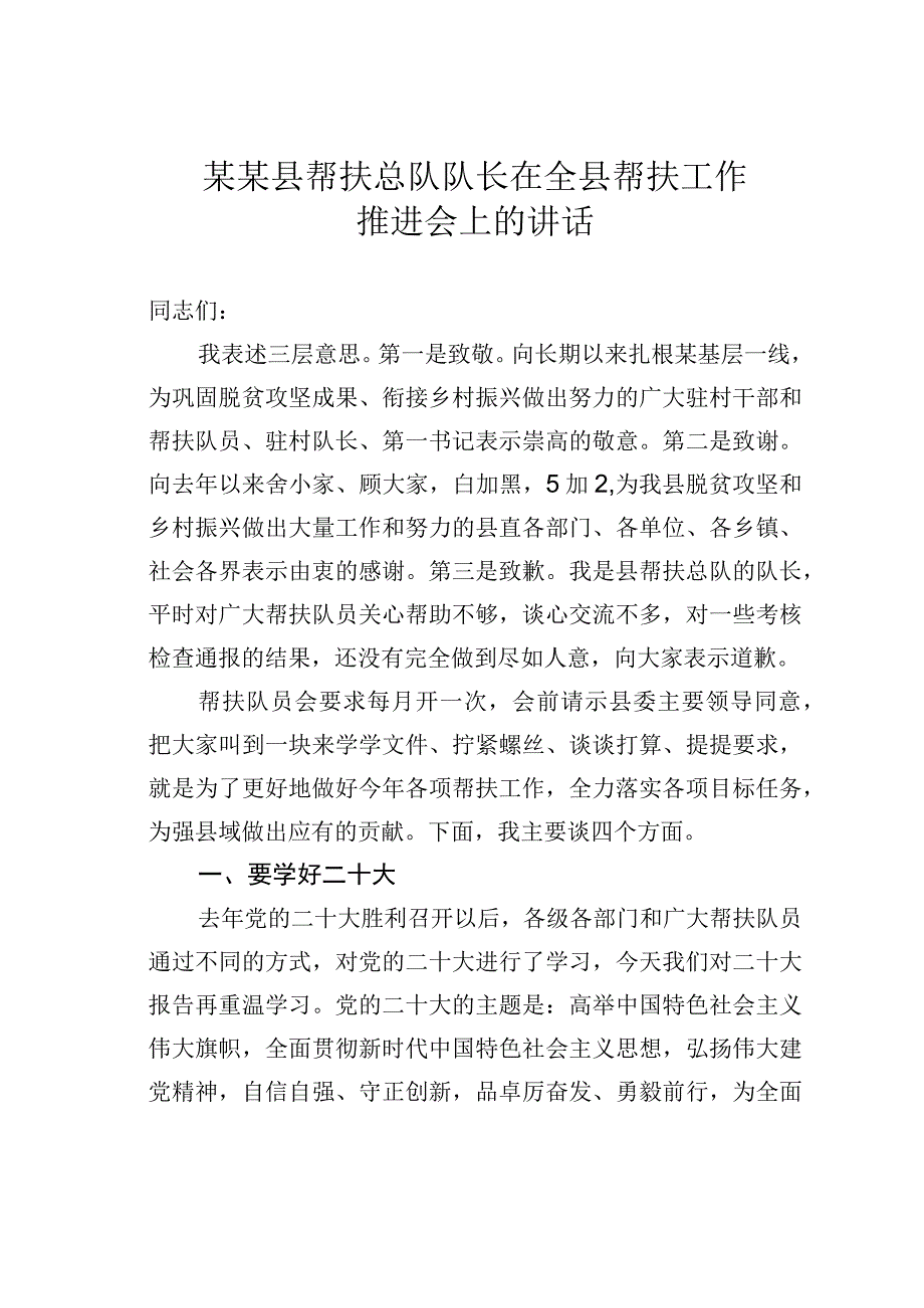 某某县帮扶总队队长在全县帮扶工作推进会上的讲话.docx_第1页