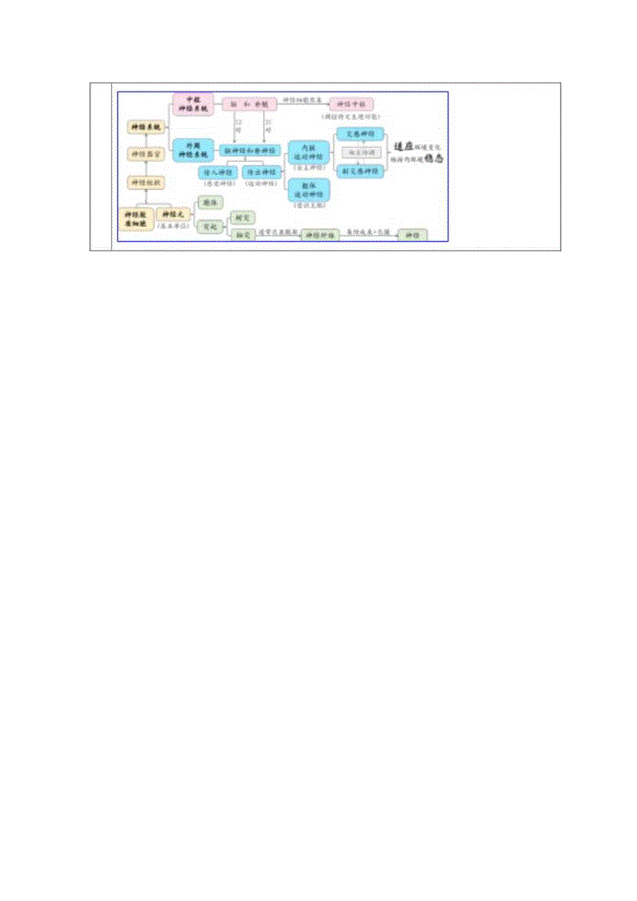 无生思考稿：第一节 神经系统是神经调节的结构基础公开课.docx_第2页