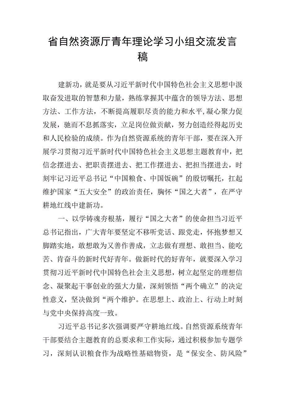 省自然资源厅青年理论学习小组交流发言稿.docx_第1页