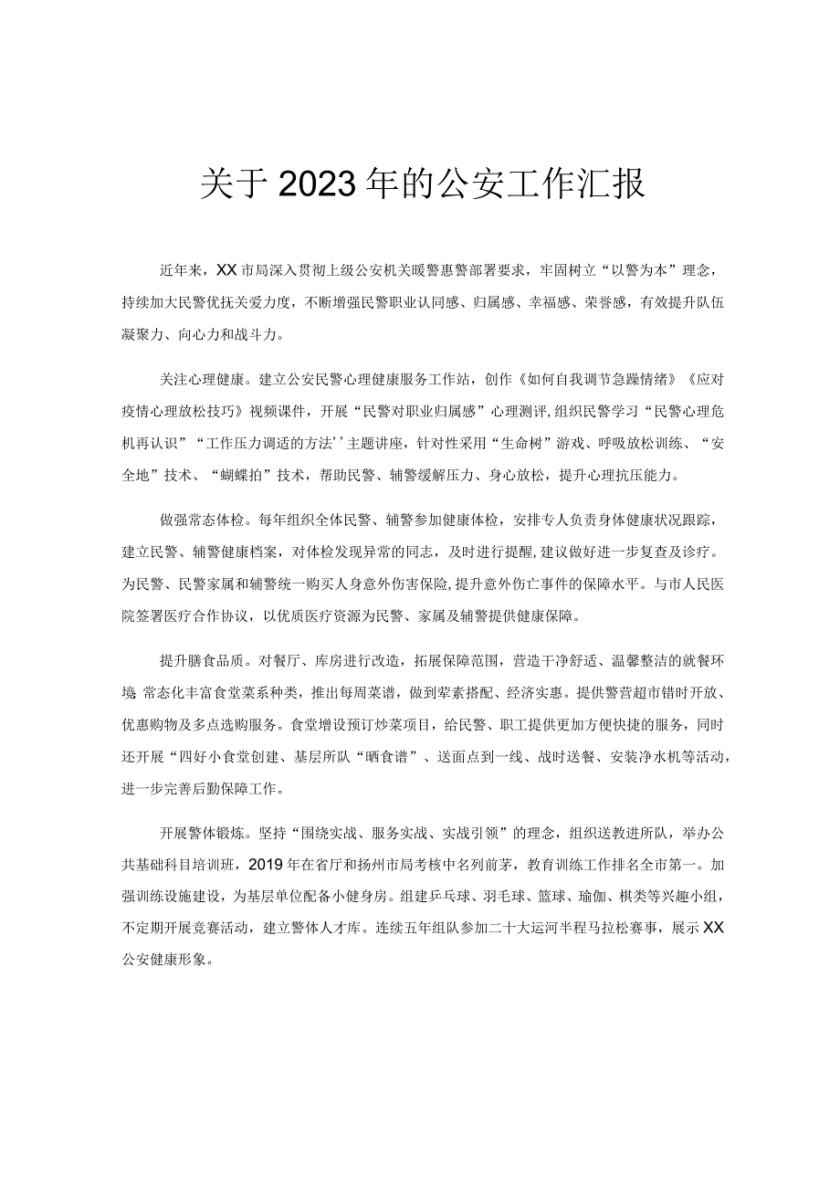 关于2023年的公安工作汇报.docx_第1页