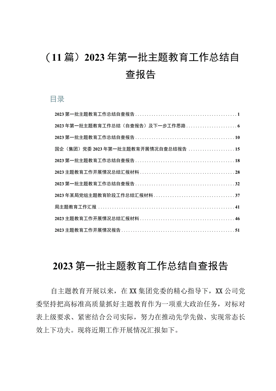 （11篇）2023年第一批主题教育工作总结自查报告.docx_第1页