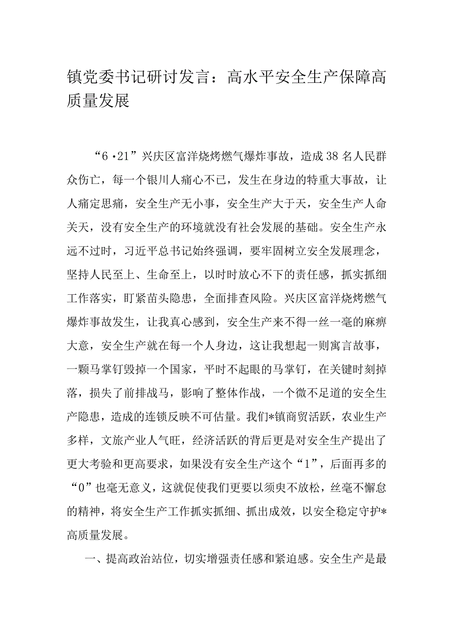 镇党委书记研讨发言：高水平安全生产保障高质量发展.docx_第1页