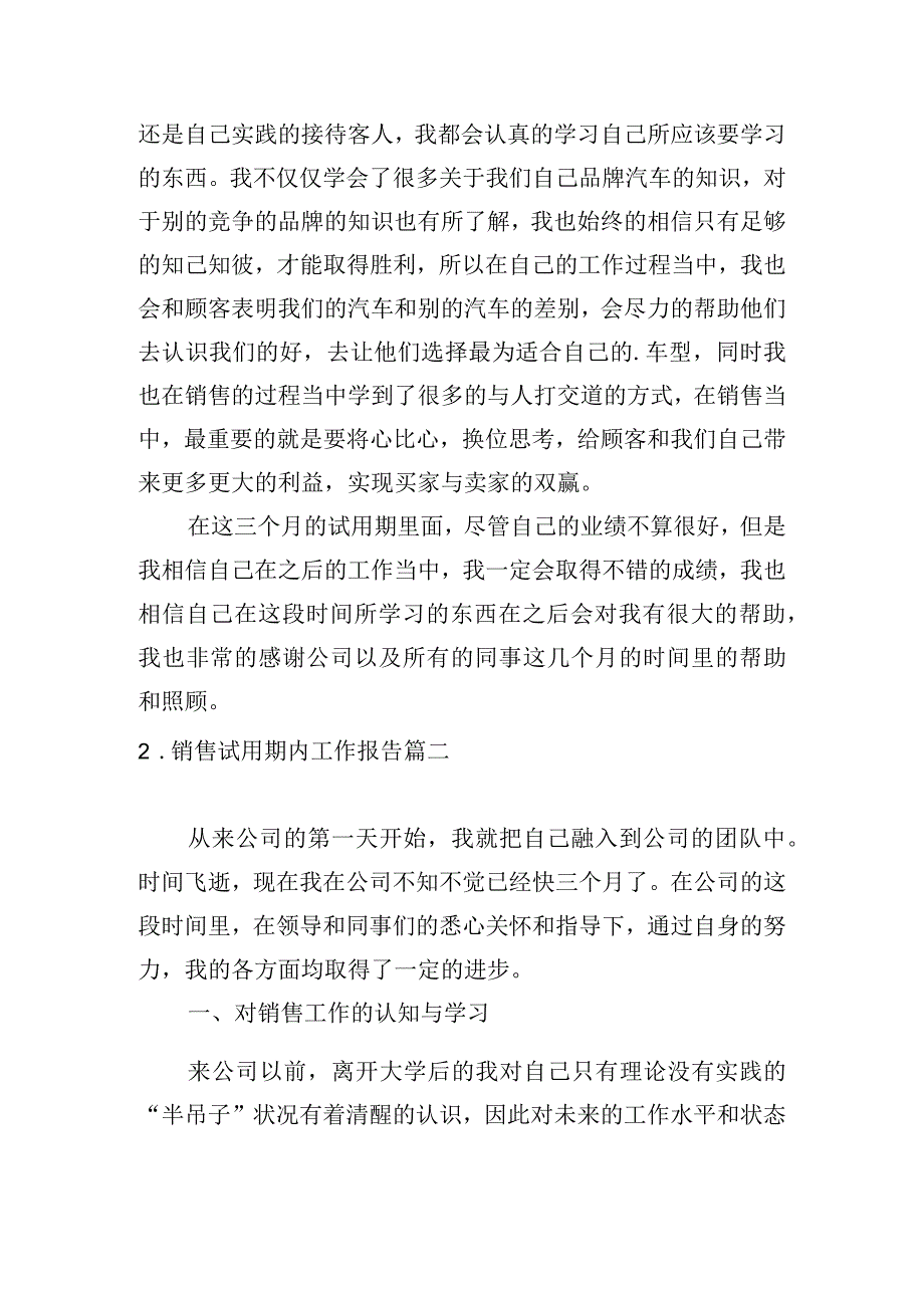 销售试用期内工作报告.docx_第2页