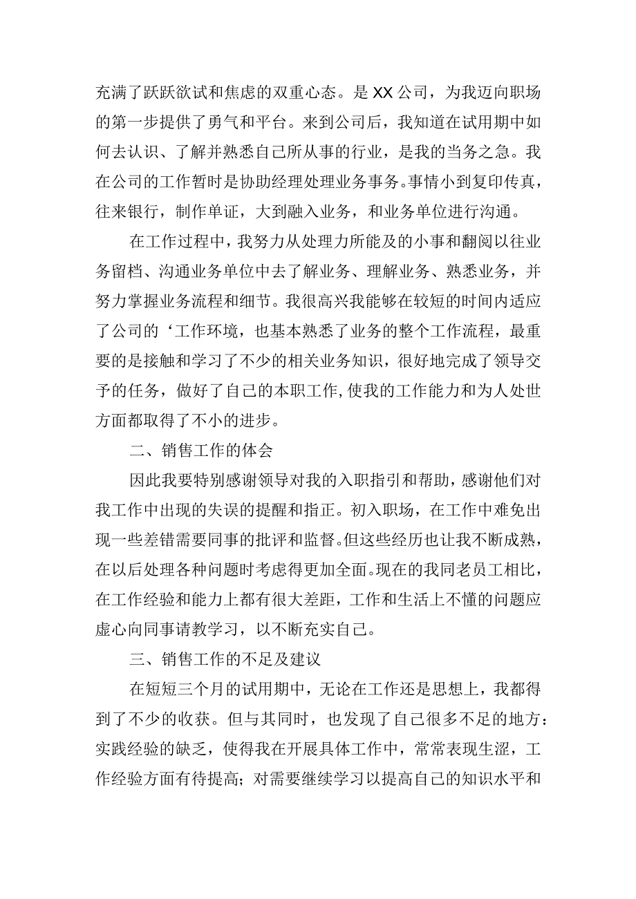 销售试用期内工作报告.docx_第3页