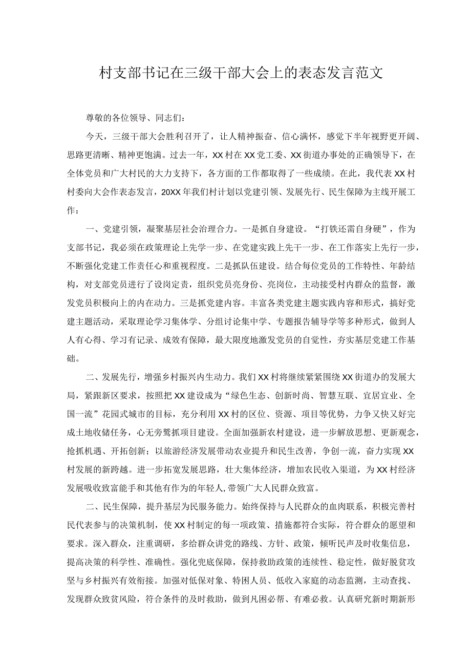 （2篇）村支部书记在三级干部大会上的表态发言+打造“石榴籽服务站”构建最强磁场基层经验材料.docx_第1页