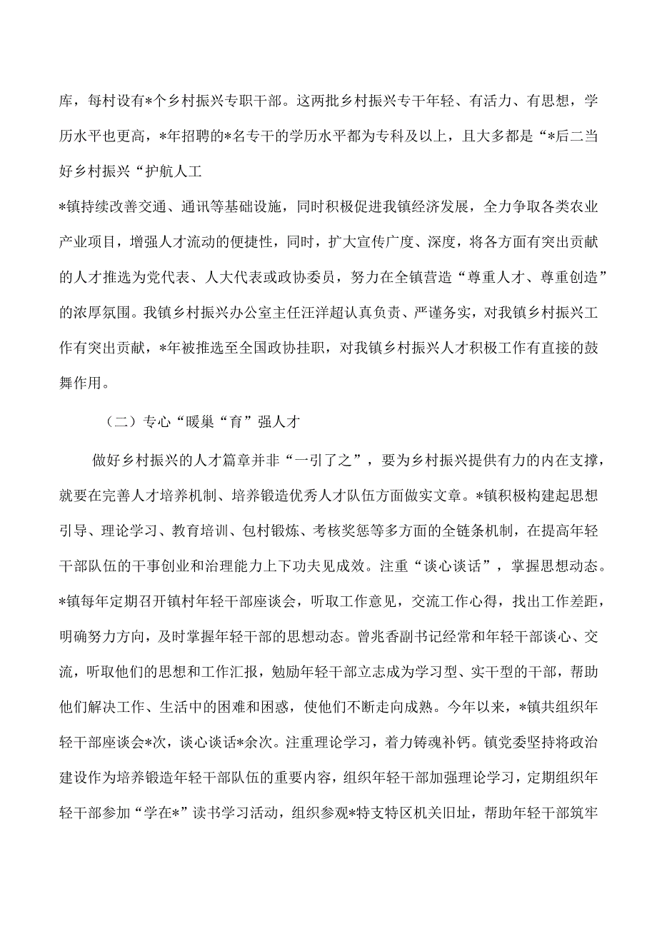 青年人才服务乡村振兴调研.docx_第2页