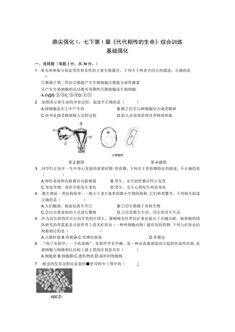 鼎尖强化公开课.docx_第1页