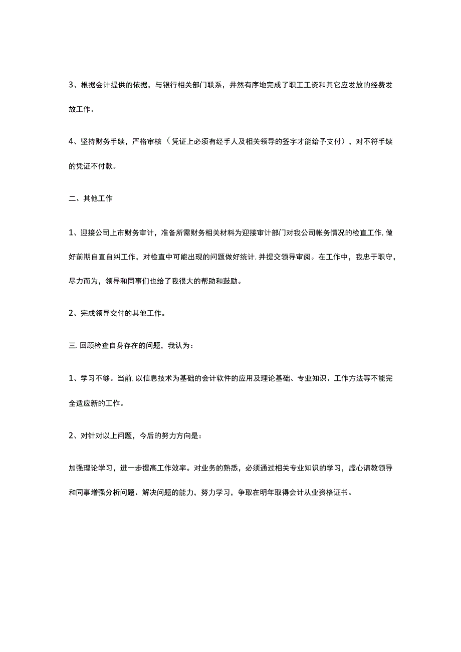 财务人员出纳工作总结.docx_第2页