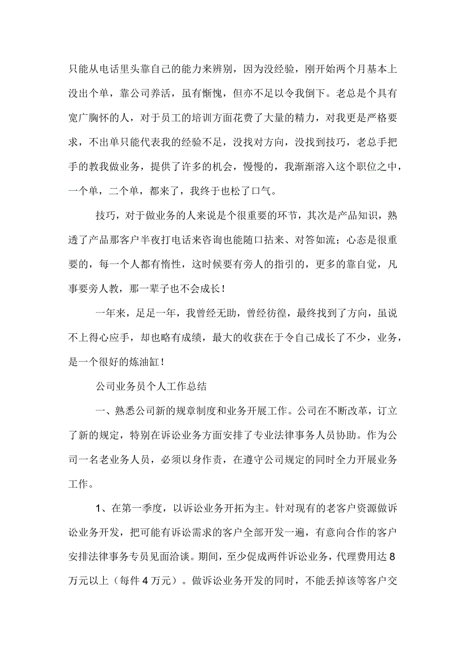 2022年业务员年终工作总结.docx_第2页